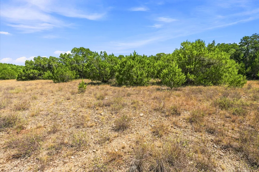 10 Lipan Run Fischer, TX 78623