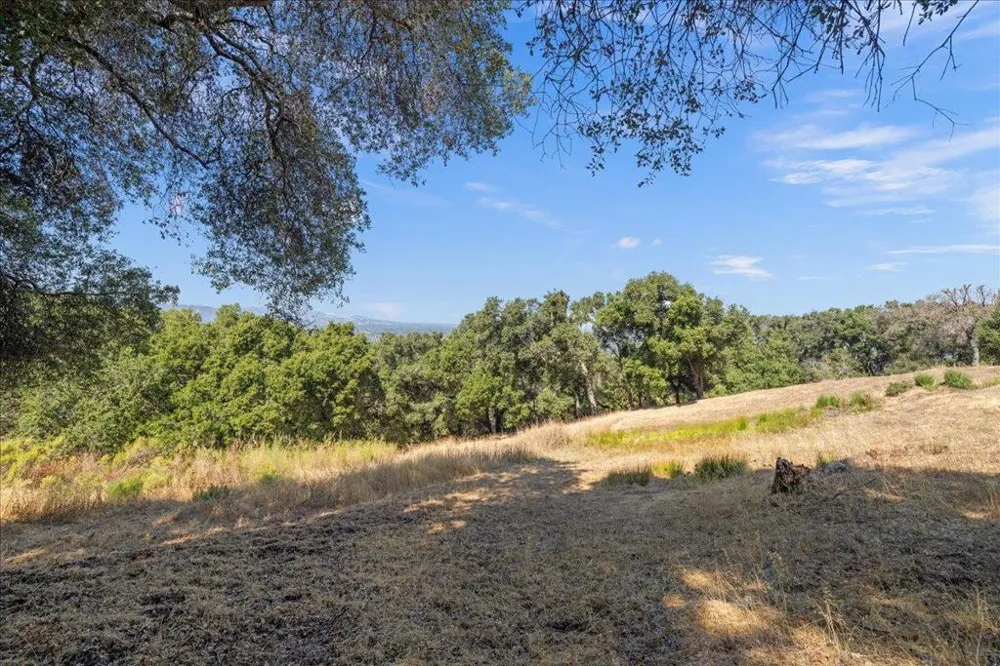 221 Twelve Oaks Road Los Gatos, CA 95030