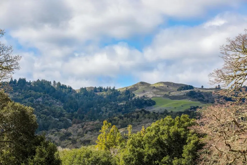 45 Bear Paw Portola Valley, CA 94028