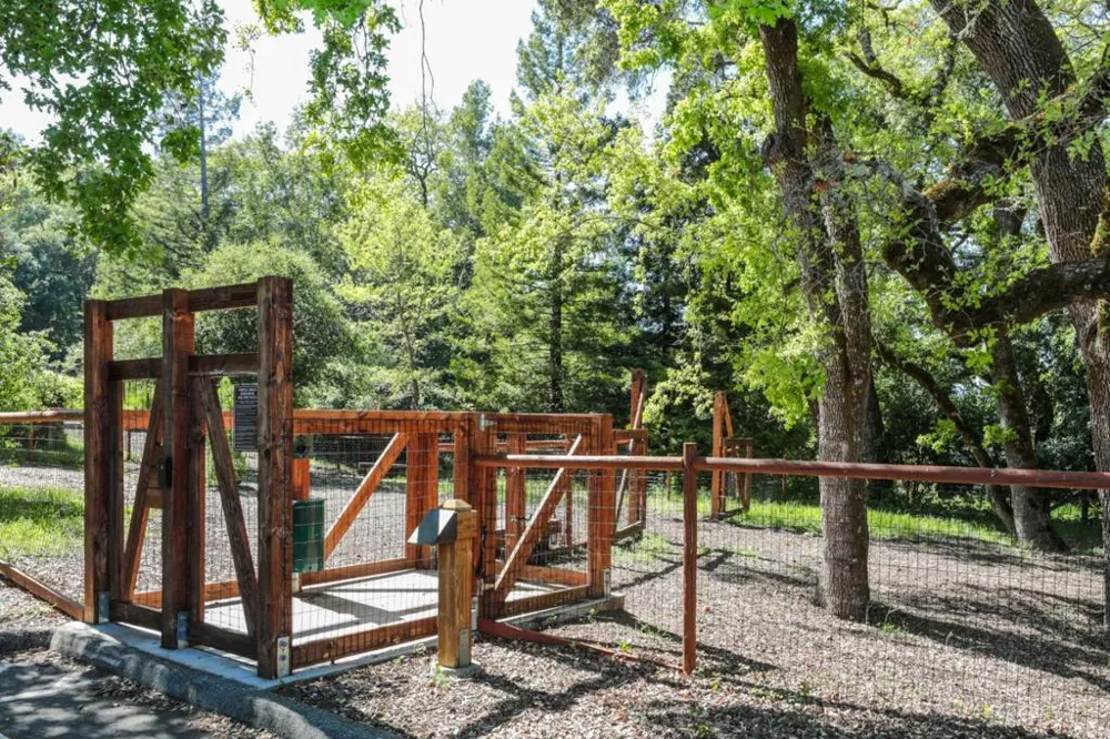 45 Bear Paw Portola Valley, CA 94028