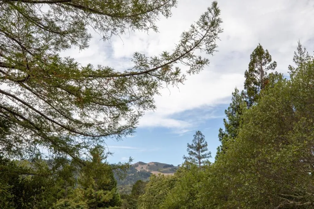 45 Bear Paw Portola Valley, CA 94028