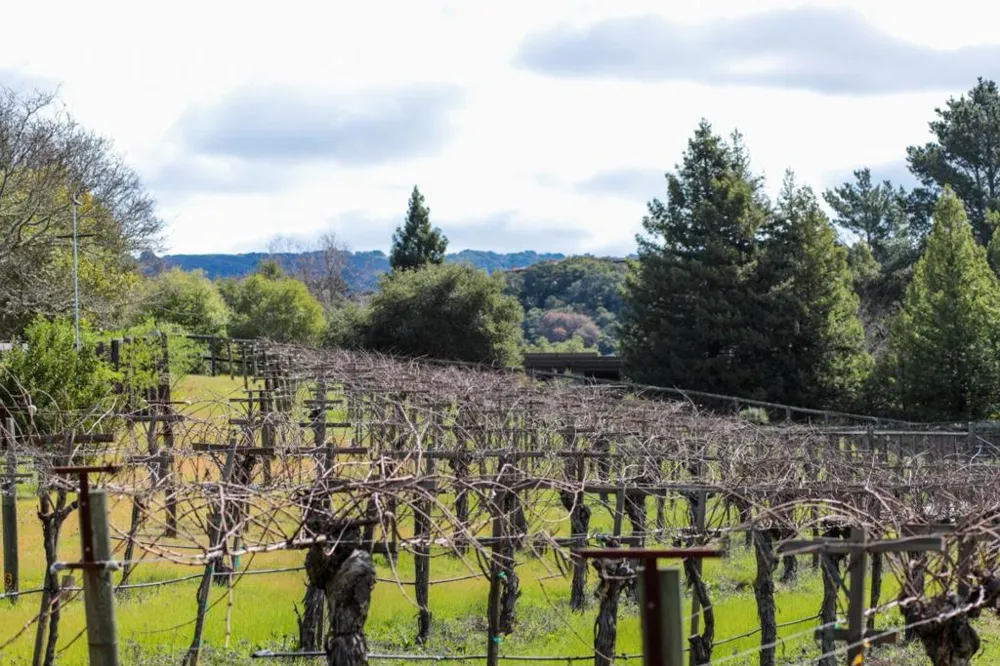 45 Bear Paw Portola Valley, CA 94028
