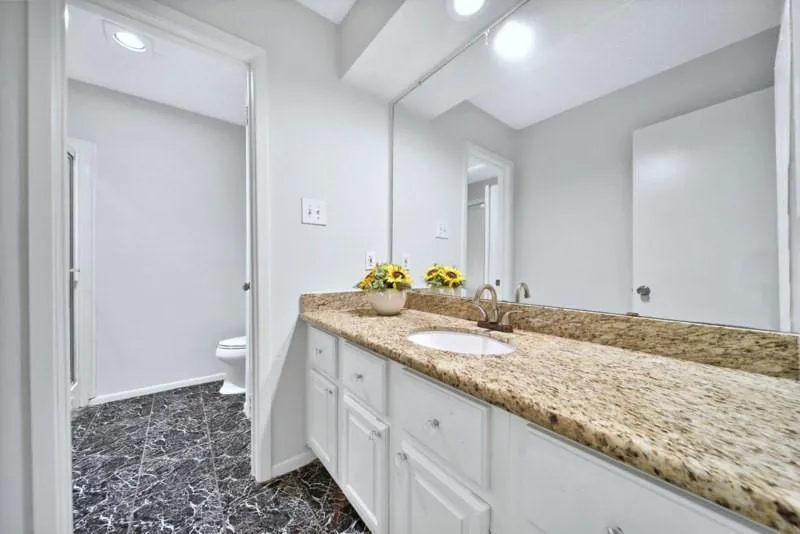 7846 Kendalia Drive Houston, TX 77036