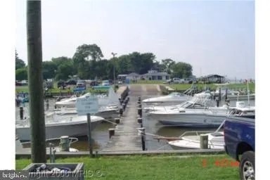 9 ACKERMAN Stevensville, MD 21666