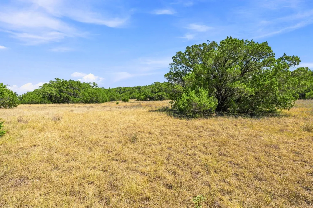 22 Lipan Run Fischer, TX 78623