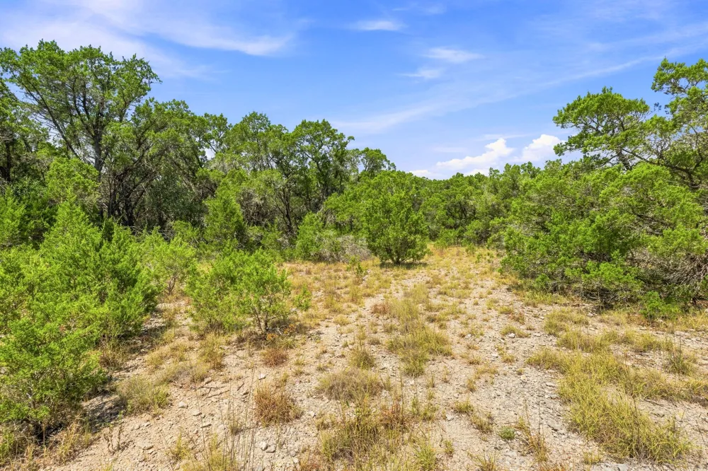 22 Lipan Run Fischer, TX 78623