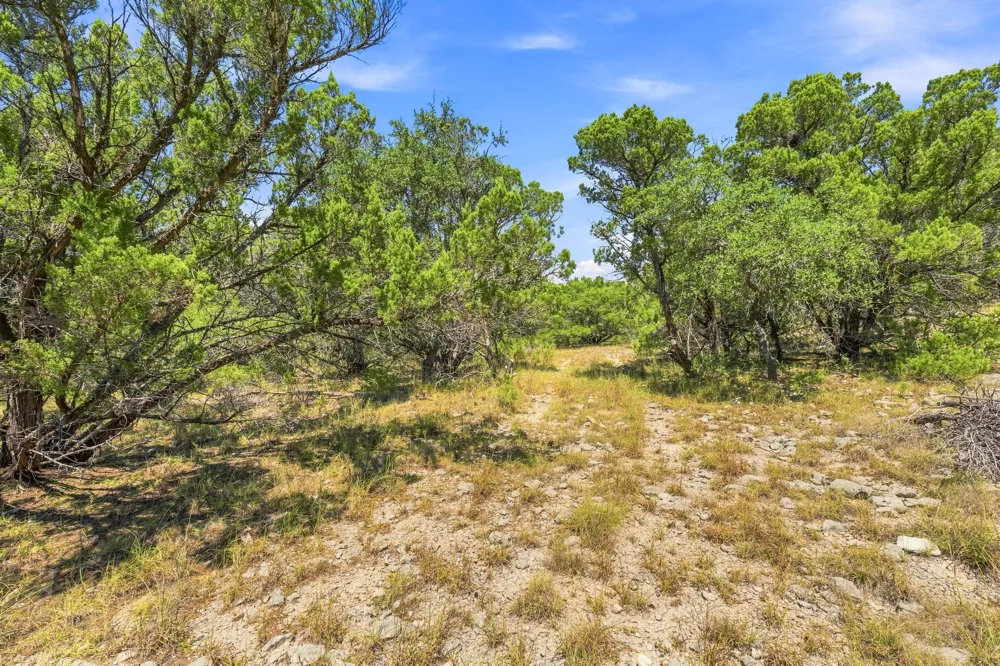 22 Lipan Run Fischer, TX 78623