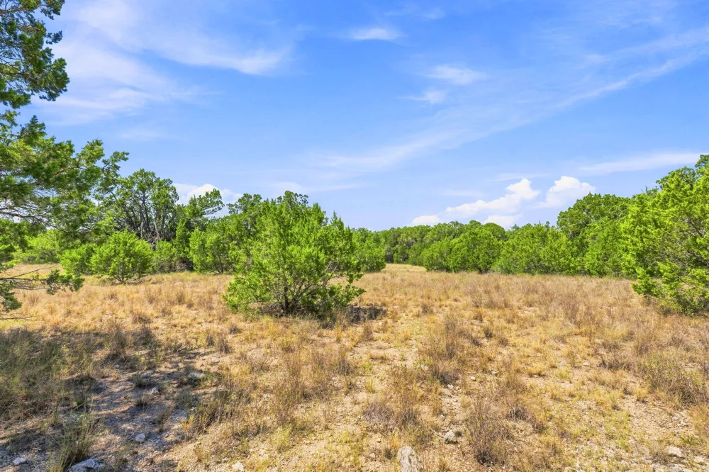22 Lipan Run Fischer, TX 78623