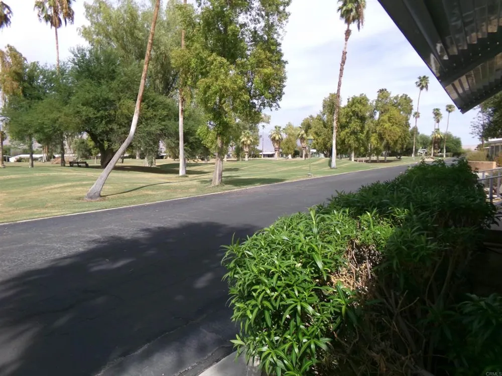 1010 Palm Canyon Drive #55 Borrego Springs, CA 92004