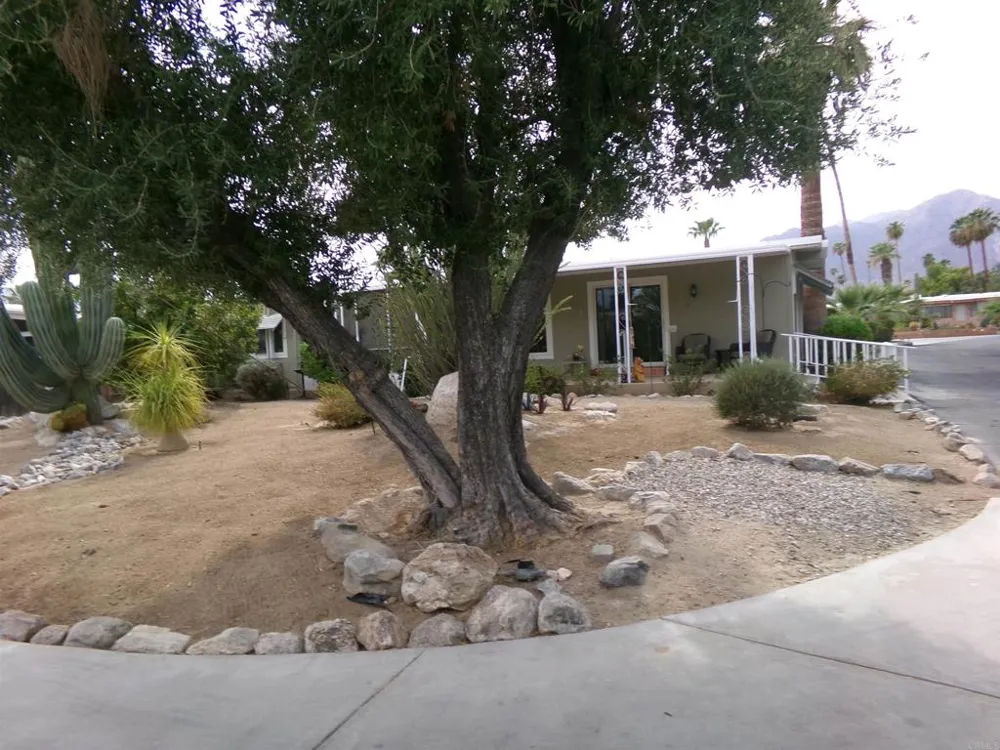1010 Palm Canyon Drive #55 Borrego Springs, CA 92004