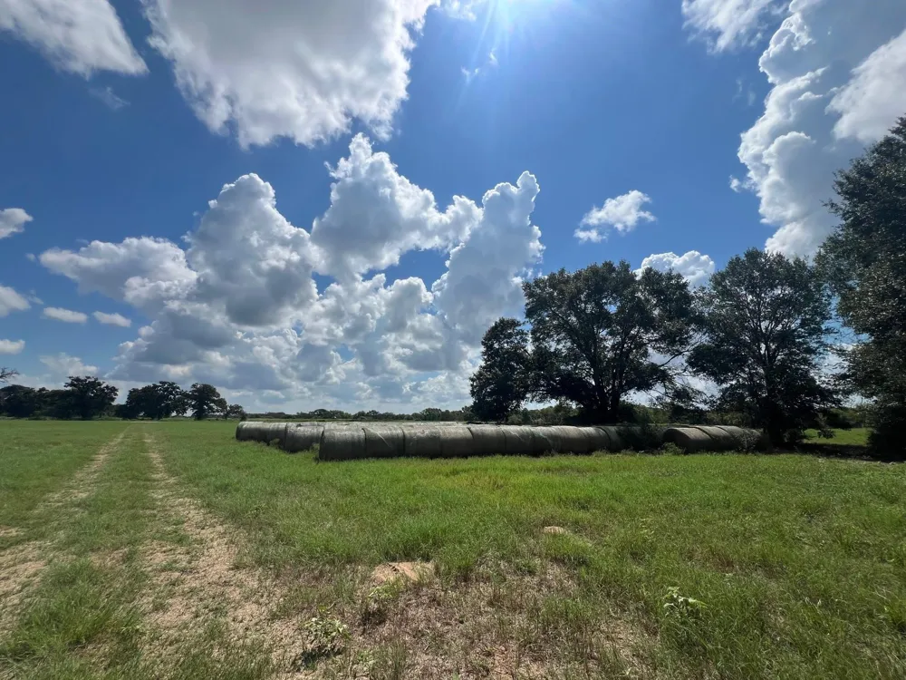 Fm 1371 Chappell Hill, TX 77426
