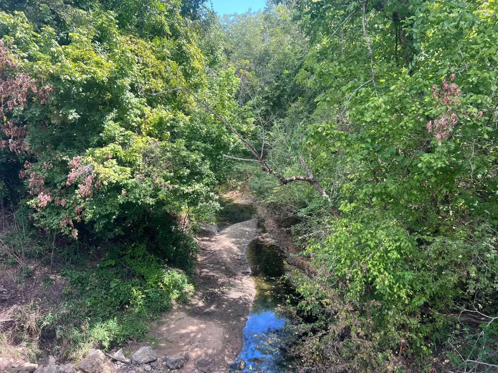 Fm 1371 Chappell Hill, TX 77426