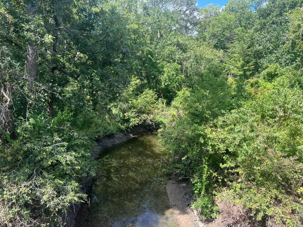 Fm 1371 Chappell Hill, TX 77426