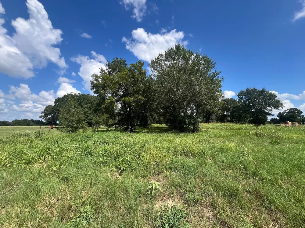 Fm 1371 Chappell Hill, TX 77426