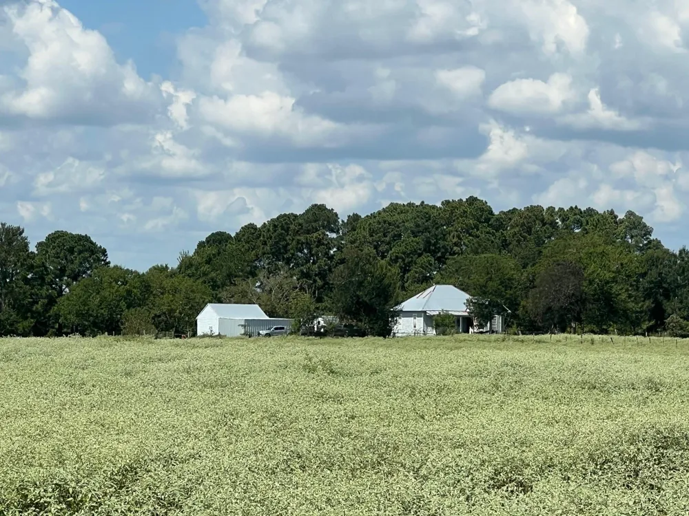 Fm 1371 Chappell Hill, TX 77426