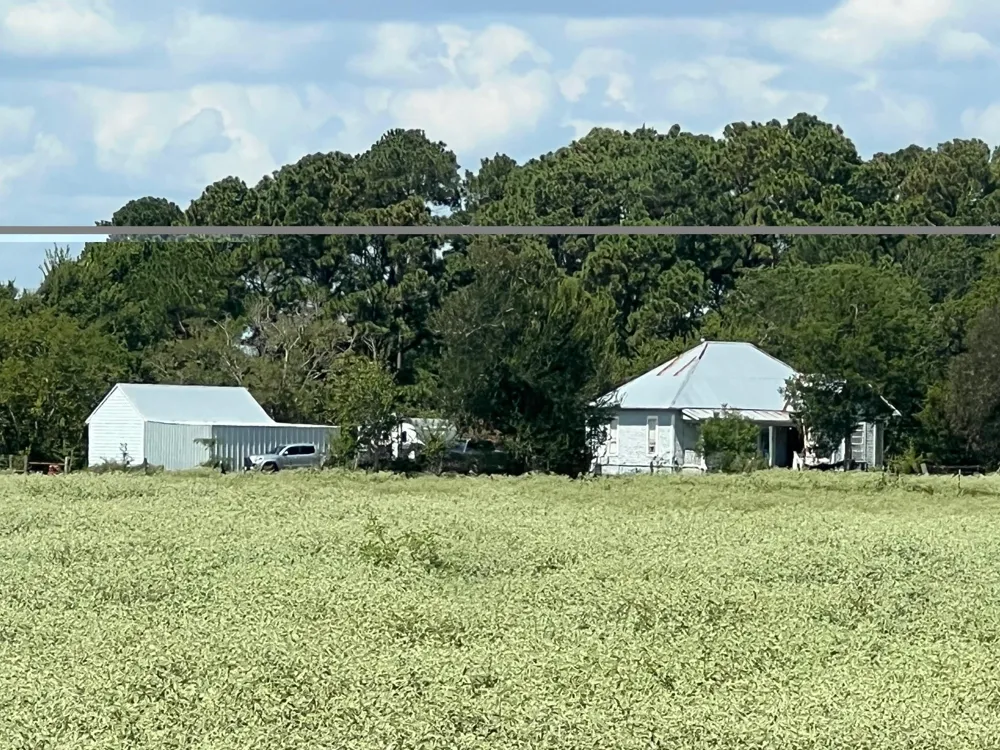 Fm 1371 Chappell Hill, TX 77426