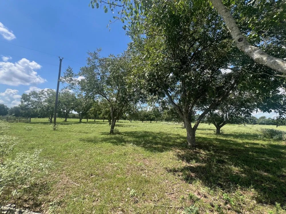 Fm 1371 Chappell Hill, TX 77426
