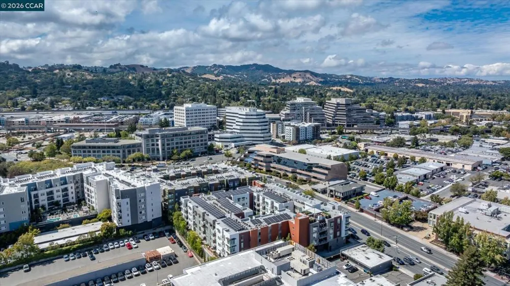 555 Ygnacio Valley Rd #430 Walnut Creek, CA 94596