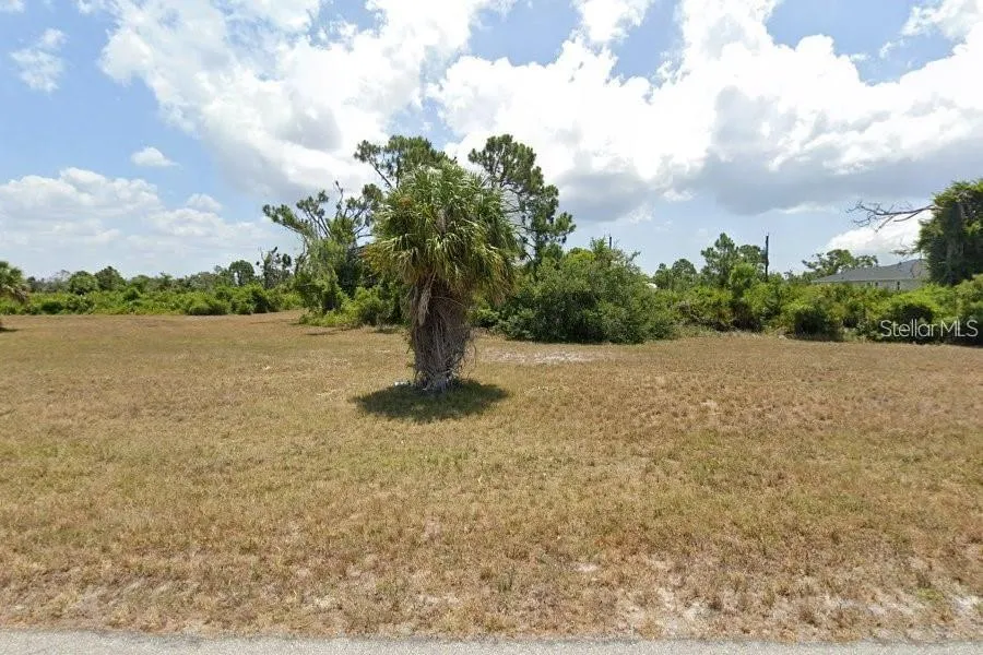 9 COXSWAIN DRIVE Placida, FL 33946
