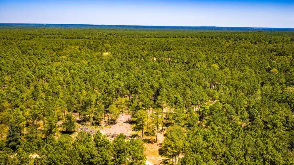 E Lakeview Drive Trinity, TX 75862