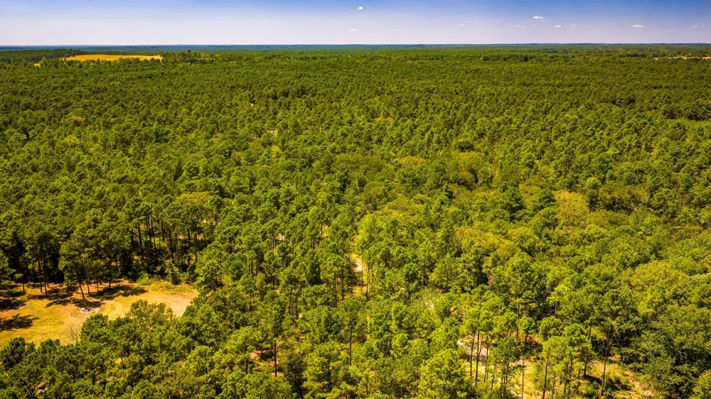 E Lakeview Drive Trinity, TX 75862