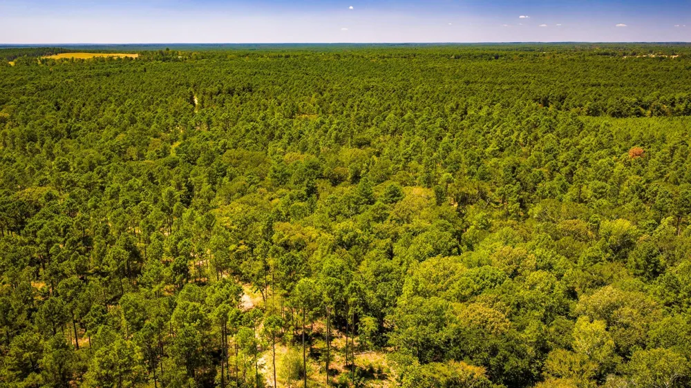 E Lakeview Drive Trinity, TX 75862