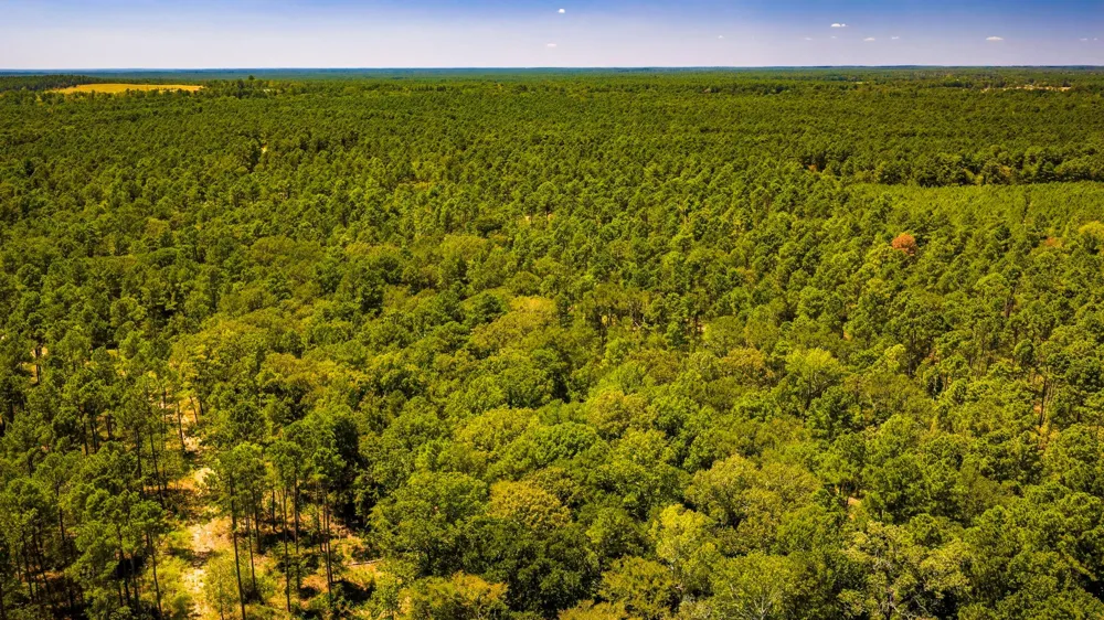 E Lakeview Drive Trinity, TX 75862