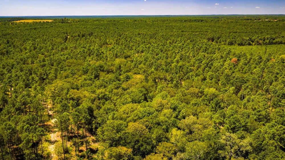 E Lakeview Drive Trinity, TX 75862