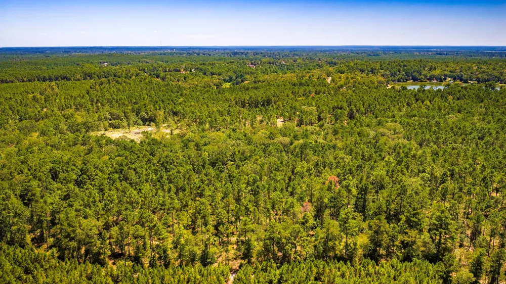 E Lakeview Drive Trinity, TX 75862