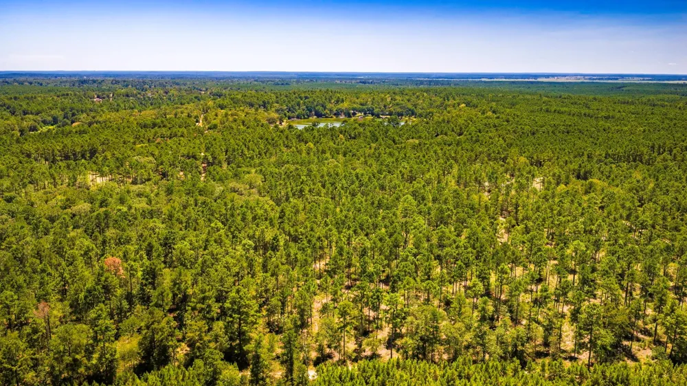 E Lakeview Drive Trinity, TX 75862