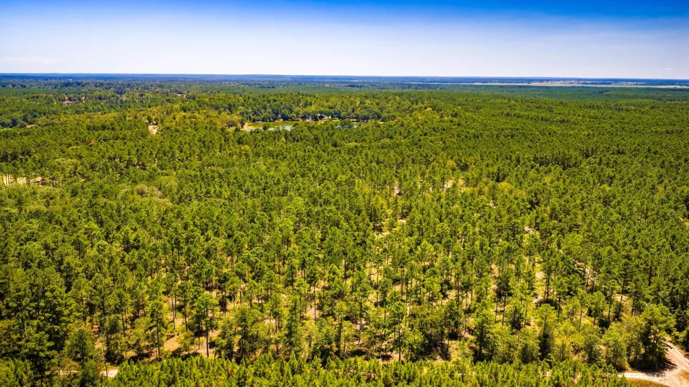 E Lakeview Drive Trinity, TX 75862