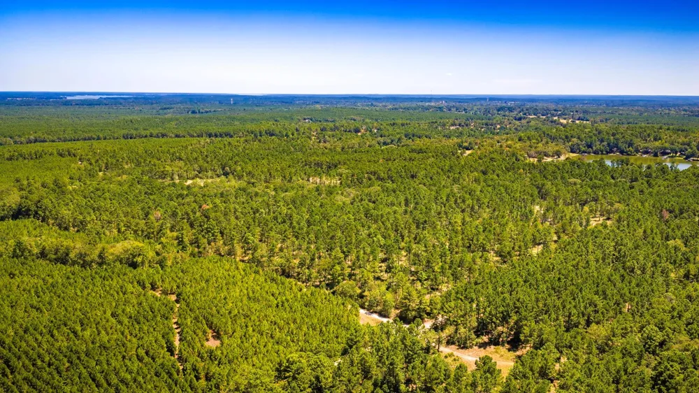 E Lakeview Drive Trinity, TX 75862