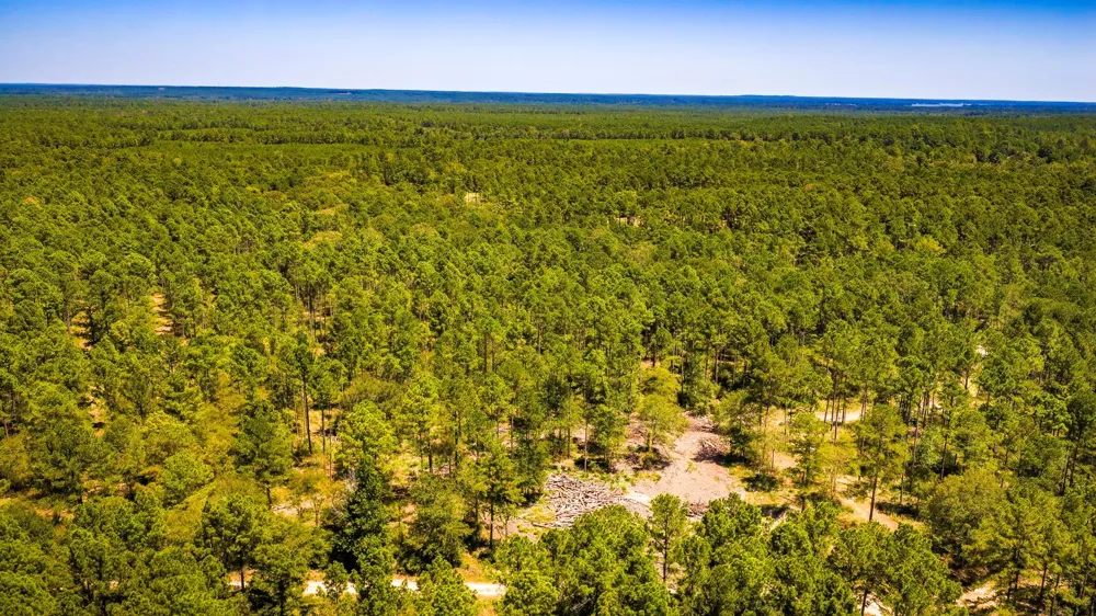 E Lakeview Drive Trinity, TX 75862