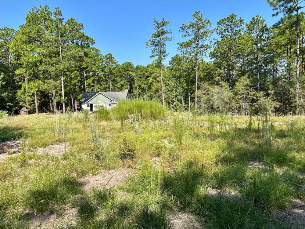 151 Ashbrook Lane Brookeland, TX 75931
