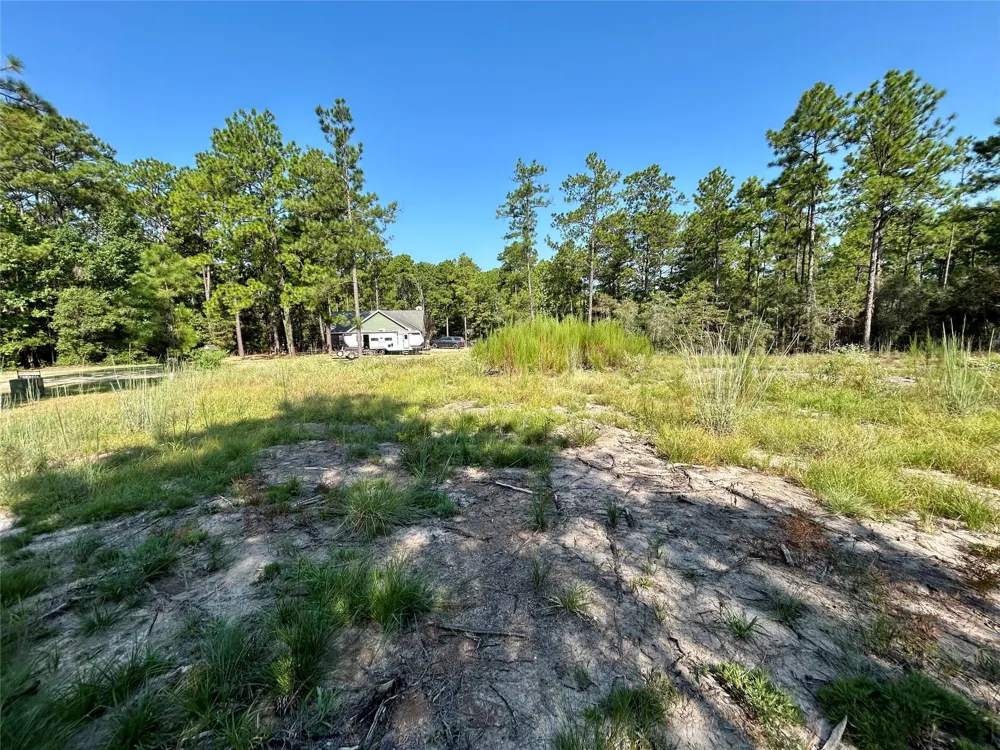 151 Ashbrook Lane Brookeland, TX 75931
