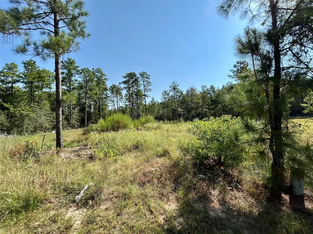 151 Ashbrook Lane Brookeland, TX 75931