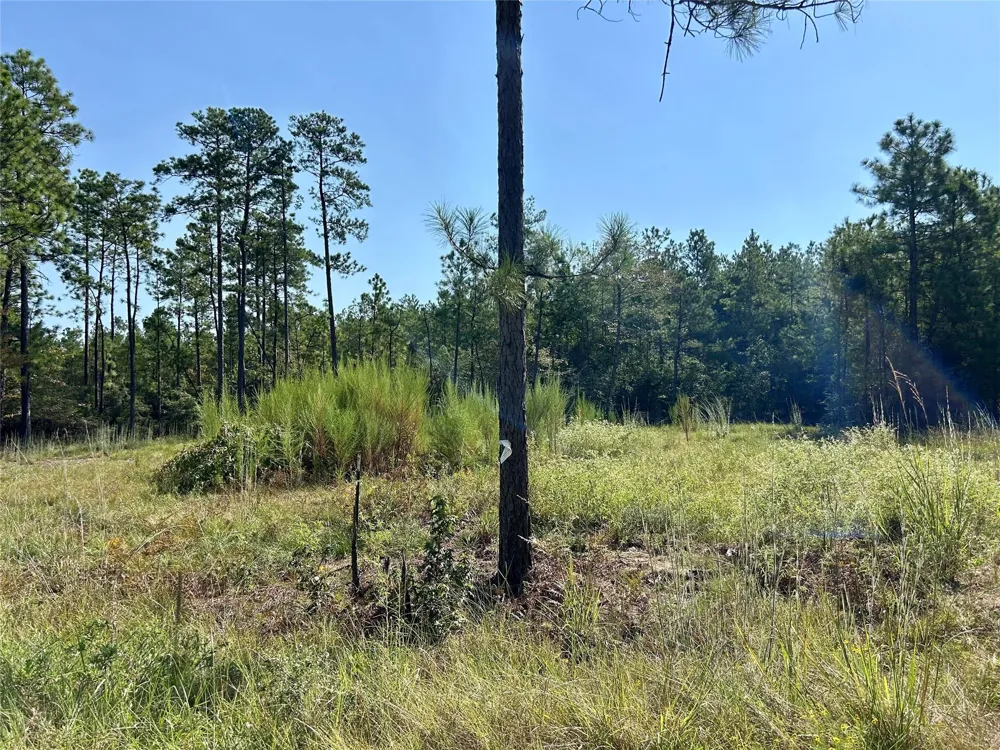 151 Ashbrook Lane Brookeland, TX 75931