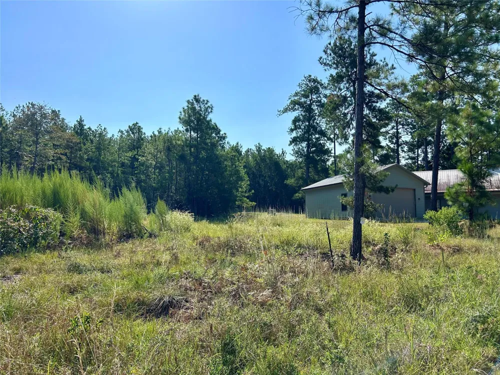 151 Ashbrook Lane Brookeland, TX 75931