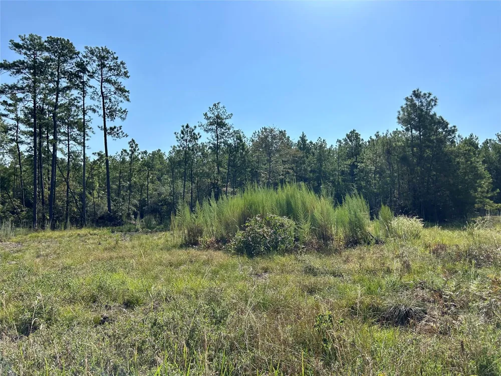 151 Ashbrook Lane Brookeland, TX 75931