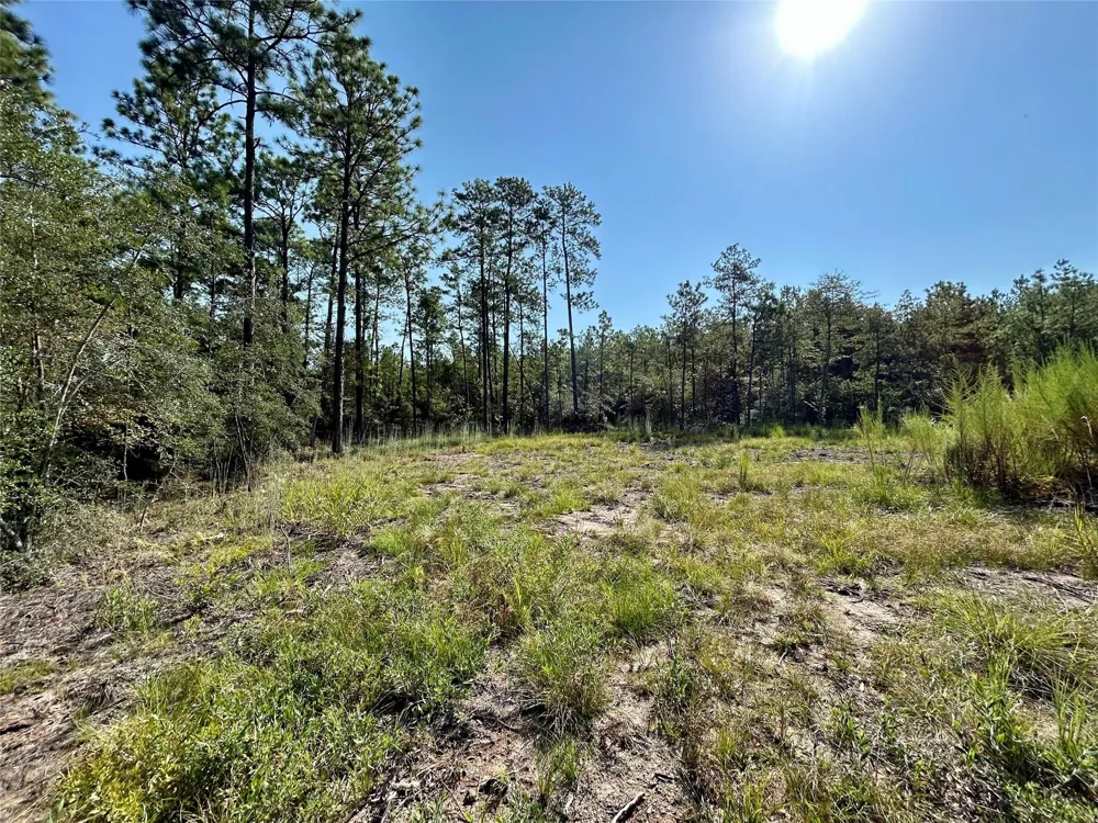 151 Ashbrook Lane Brookeland, TX 75931