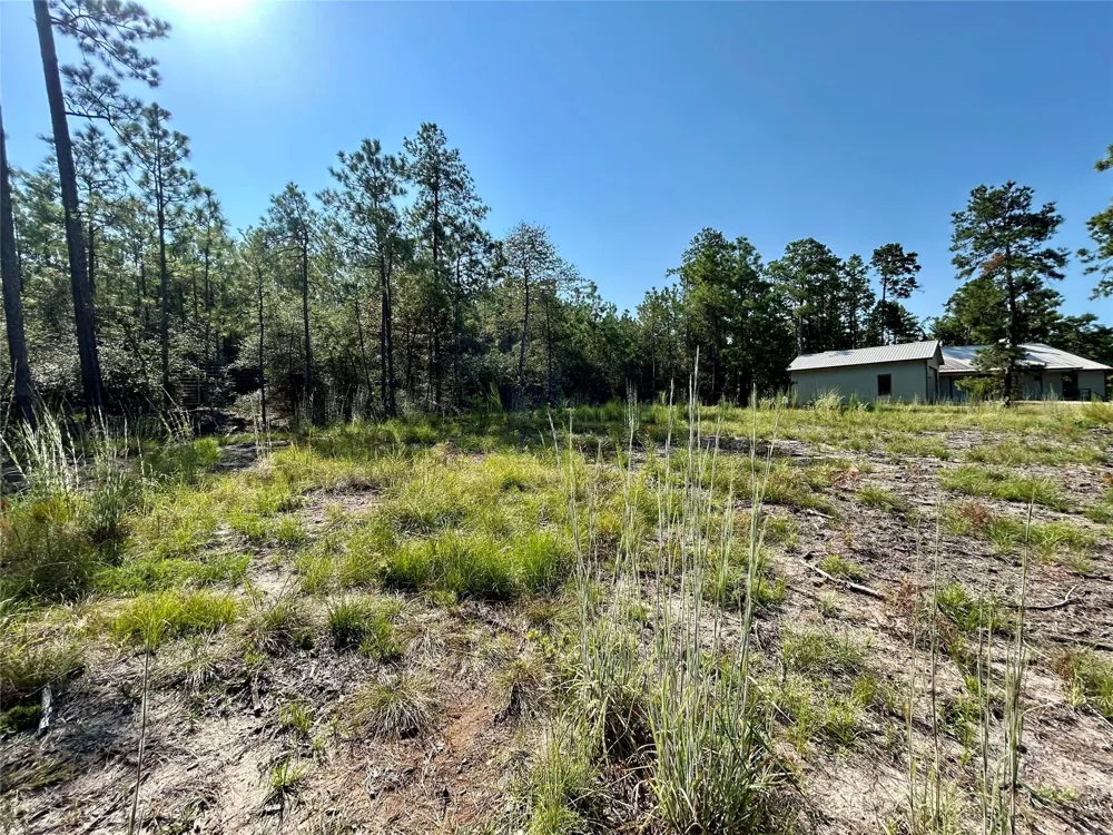 151 Ashbrook Lane Brookeland, TX 75931