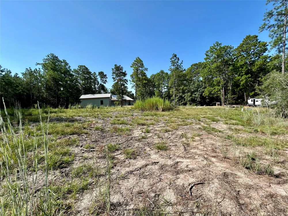 151 Ashbrook Lane Brookeland, TX 75931