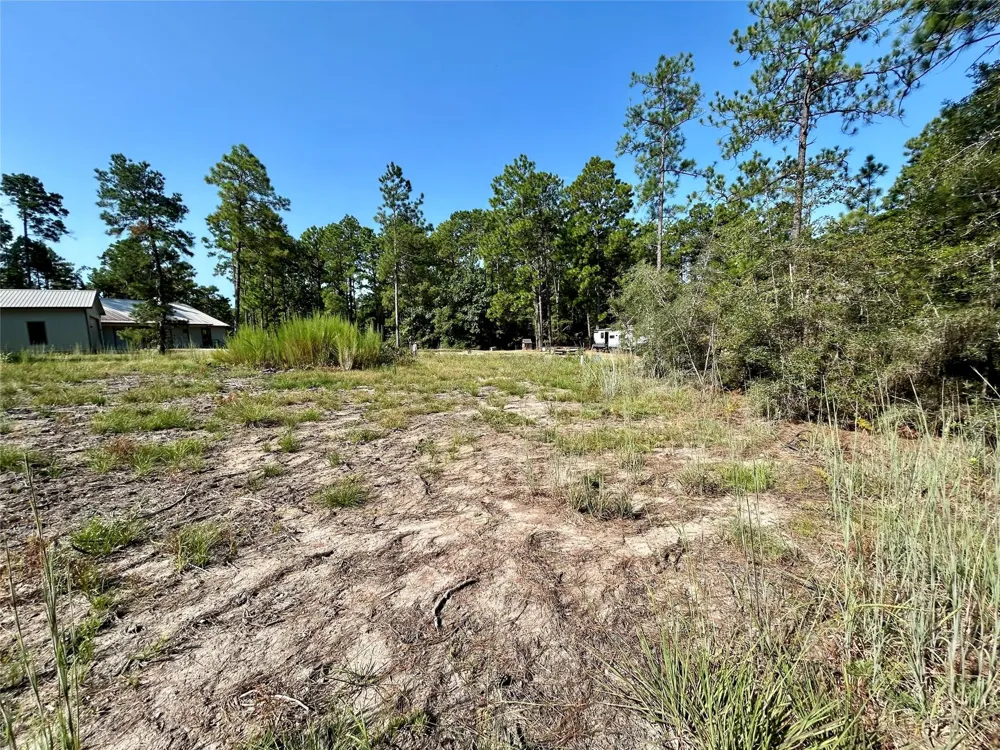 151 Ashbrook Lane Brookeland, TX 75931