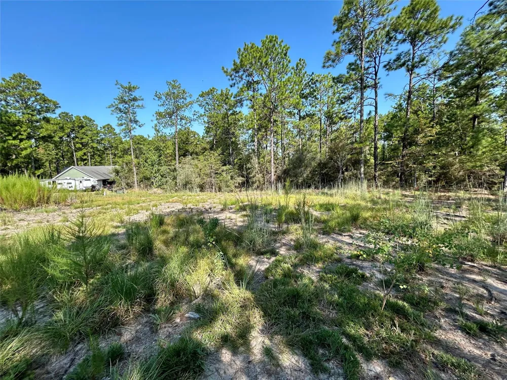 151 Ashbrook Lane Brookeland, TX 75931
