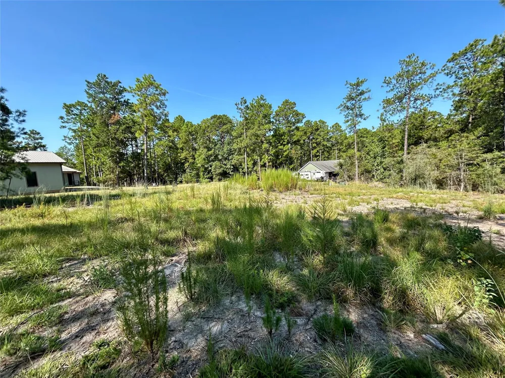 151 Ashbrook Lane Brookeland, TX 75931