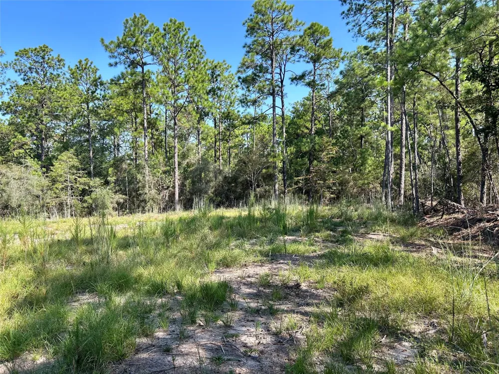 151 Ashbrook Lane Brookeland, TX 75931