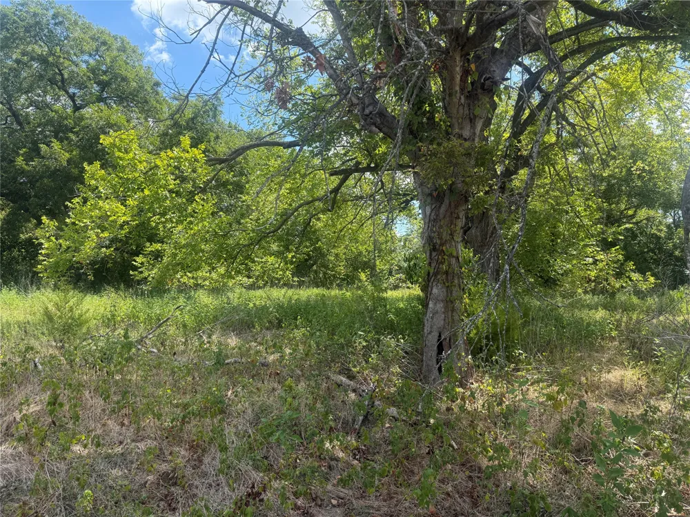 2200 Orchard Waco, TX 76705