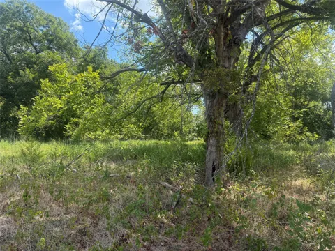 2200 Orchard