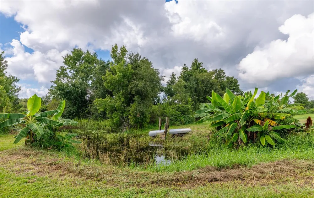 3005 VERNA BETHANY ROAD Myakka City, FL 34251