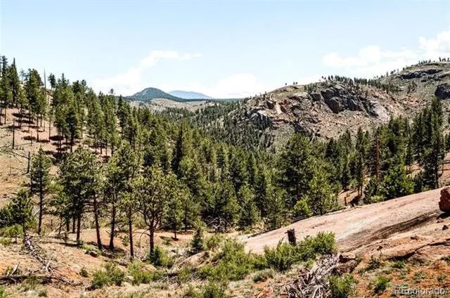 16320 Cochise Trail Pine, CO 80470